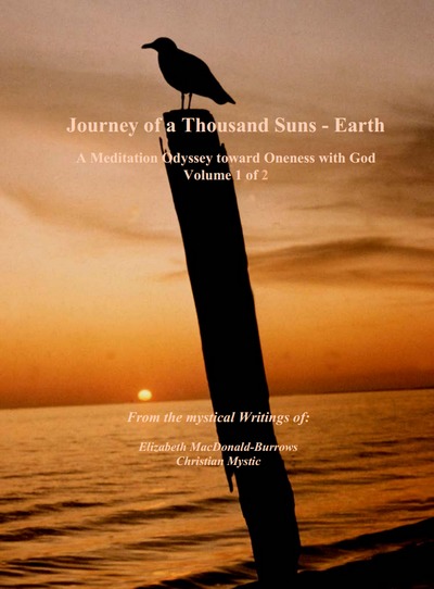 book cover of Journey of a Thousand Suns I
